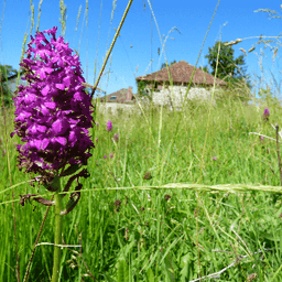 GAEC de la Ferme de LAVAL HAUT #8