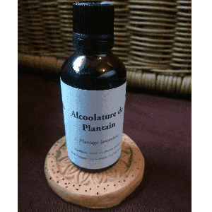 Alcoolature Plantain