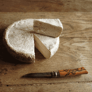 Cendré de Vache