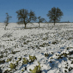 Ferme de la Binette #0