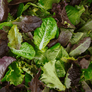 Mesclun