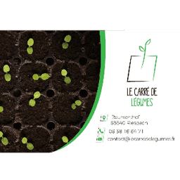 Le carré de légumes #0