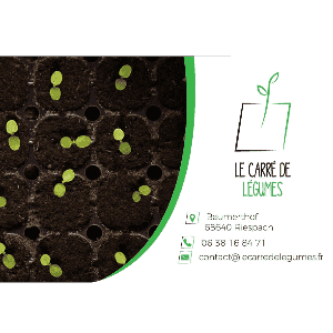 Le carré de légumes