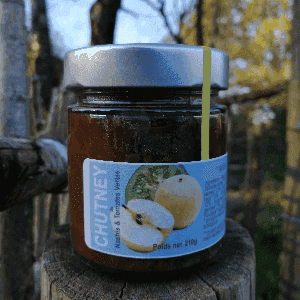 Chutney de Nashi & pêches de vigne