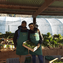 La Ferme des Grenouilles #0