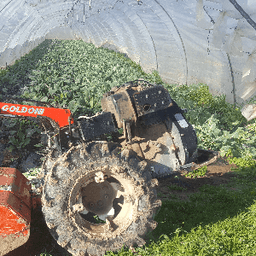 La Ferme des Grenouilles #5