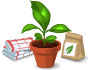 Plants et autres