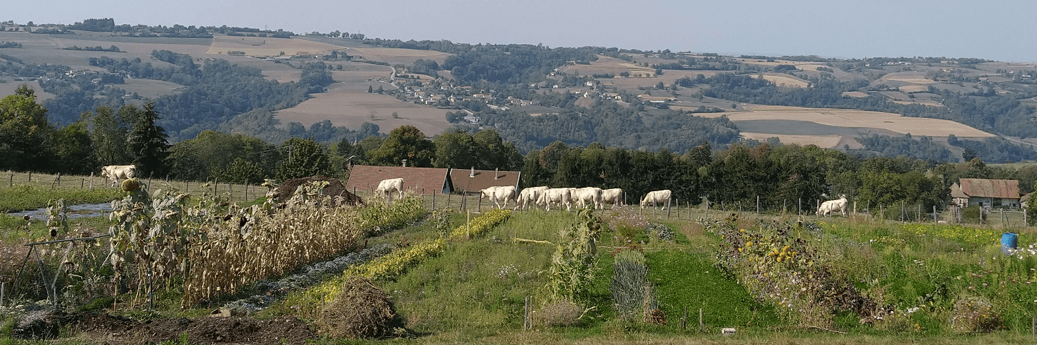 Bannière de l'escargot de layat