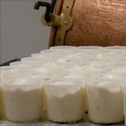 La Ferme du Taychel La Ferme du Taychel #4