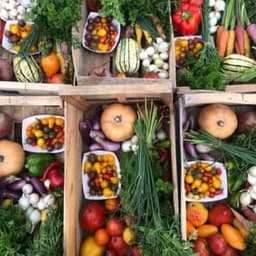 La rosée des prés La rosée des prés #8