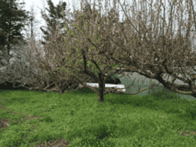 Bannière de Mas d'Andrausse - Chantal & Bernard Choisselet