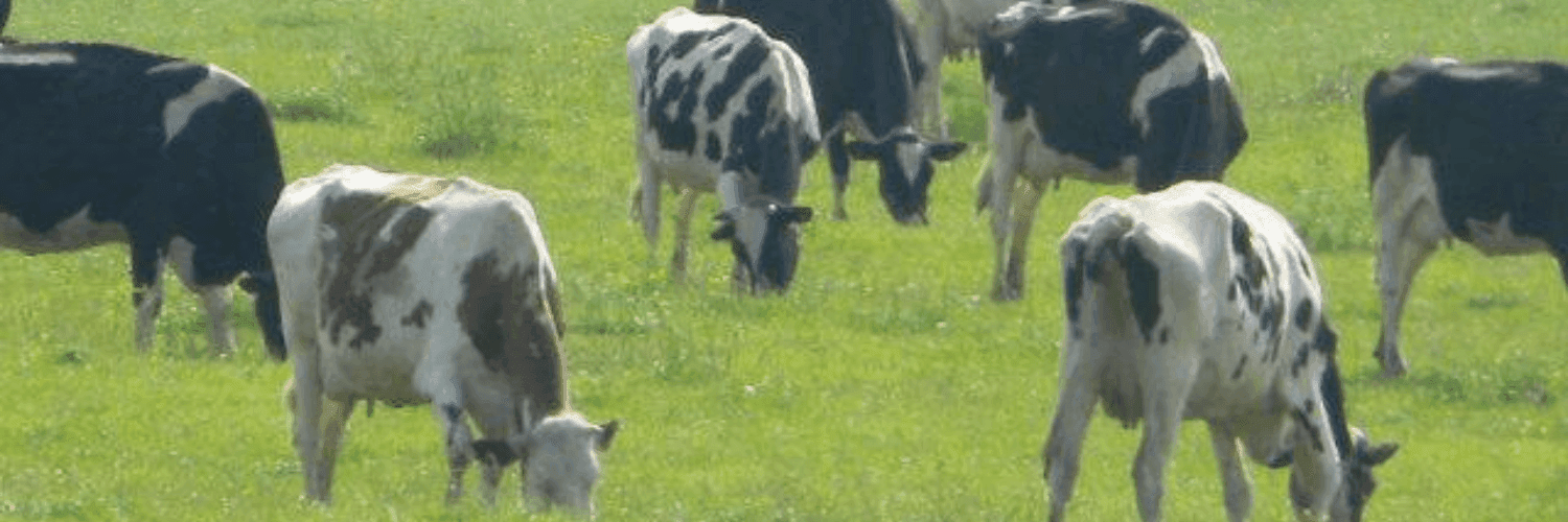 Bannière de Ferme de la Petite Seille