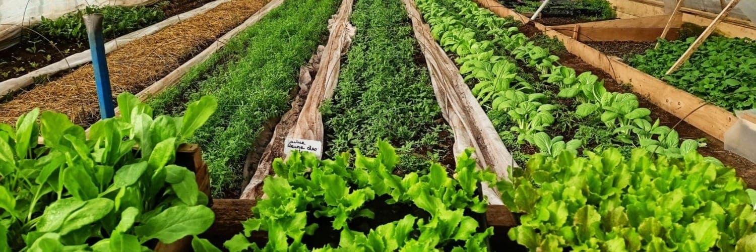 Bannière de Au champ des oiseaux