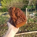 PAIN LIN/TOURNESOL - 1100 g