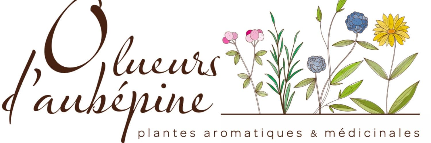 Bannière de GAEC La Ferme au l'Ouin