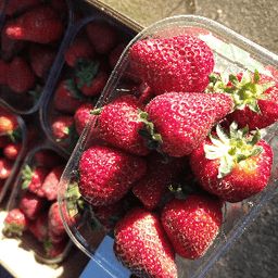 Saveurs Bio de la Vallée Saveurs Bio de la Vallée #2