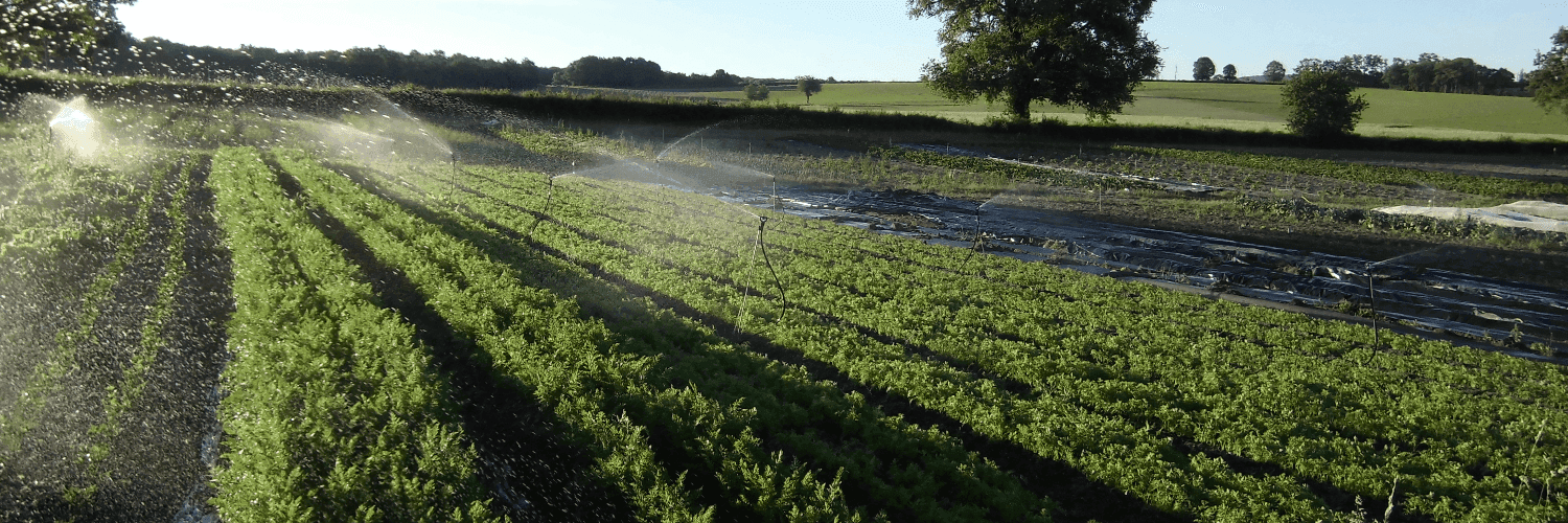 Bannière de Le Croc'Légumes