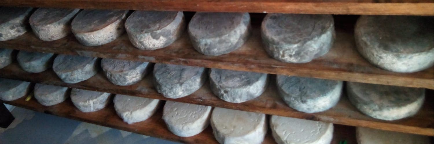Bannière de Un Brin de Chèvres