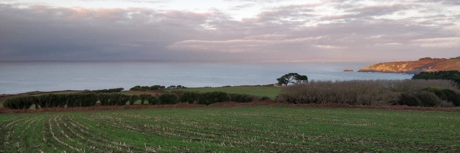 Bannière de Un site de paysan