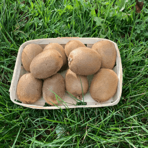 kiwis