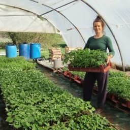 Logo de Vente de plants - Eauze