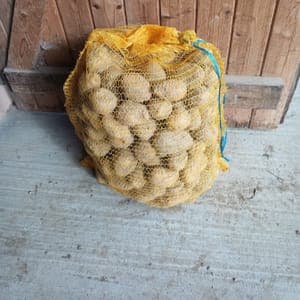 Pomme de terre Marabel