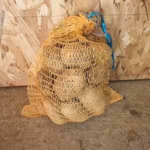 Pomme de terre Marabel