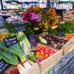 Les Jardins de la Lupte Les Jardins de la Lupte #8