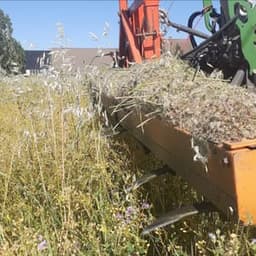 Ferme Cérès Ferme Cérès #3