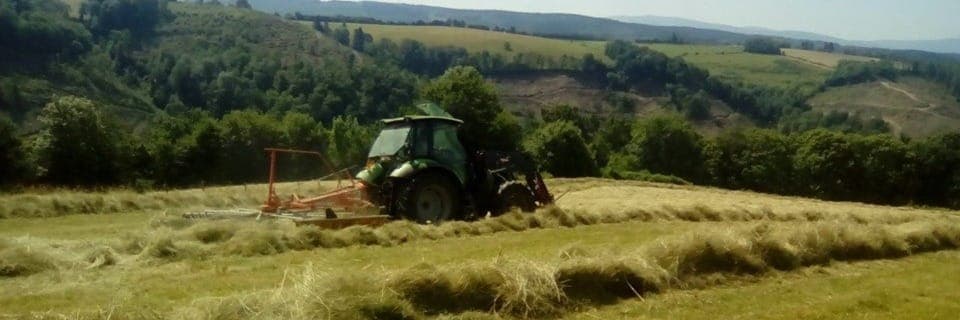 Bannière de LES PAYSANS D'ANTAN