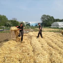 LES JARDINS DE BLANDINE LES JARDINS DE BLANDINE #4