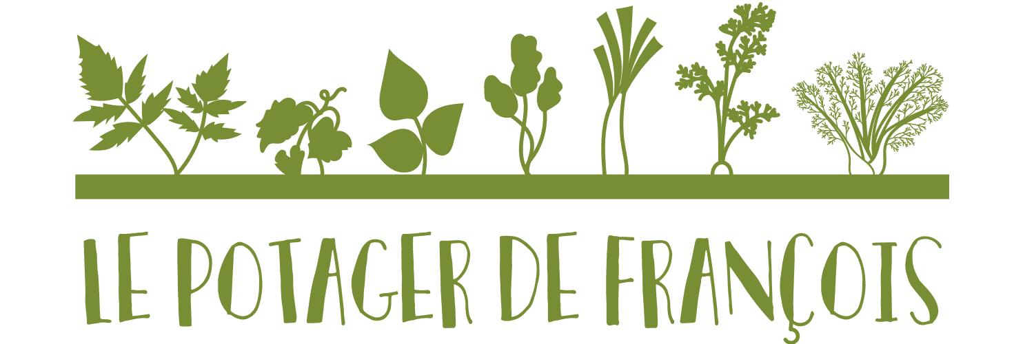Bannière de Le potager de François