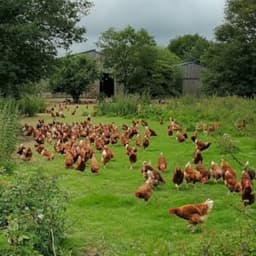 Ferme Des Rochettes Ferme Des Rochettes #7