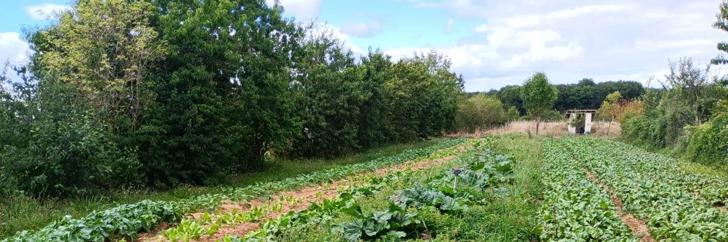 Bannière de la ferme de Balandiere