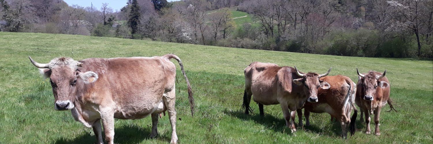Bannière de Gaec Ficelles