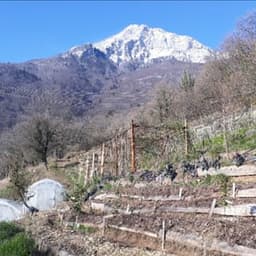 Les jardins du Moucherotte Les jardins du Moucherotte #3