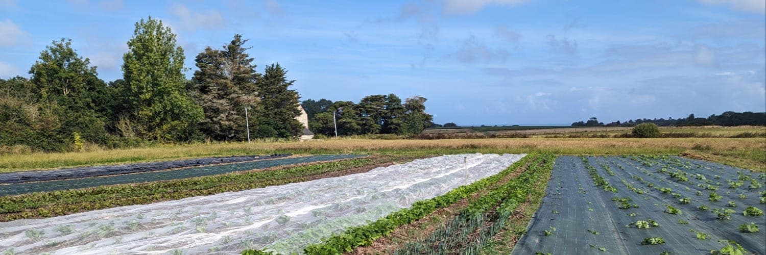 Bannière de Les Jardins Sauvages