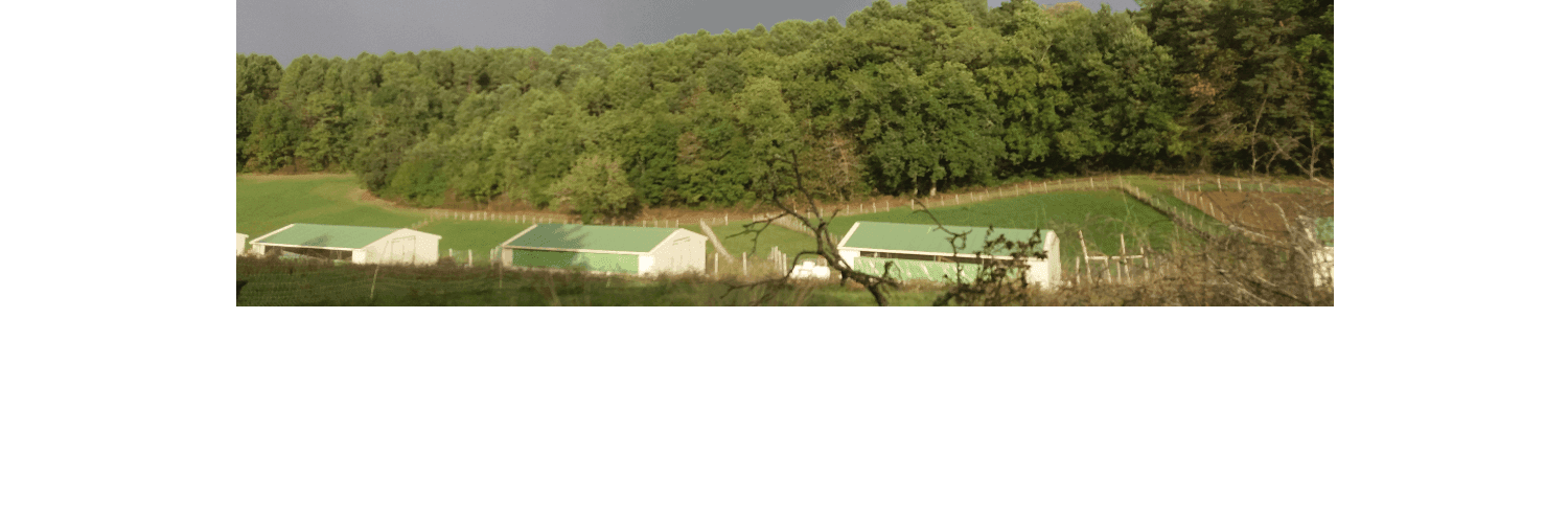 Bannière de La Ferme d'Enea