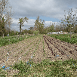 NAYRAL DU ZENITH NAYRAL DU ZENITH #7