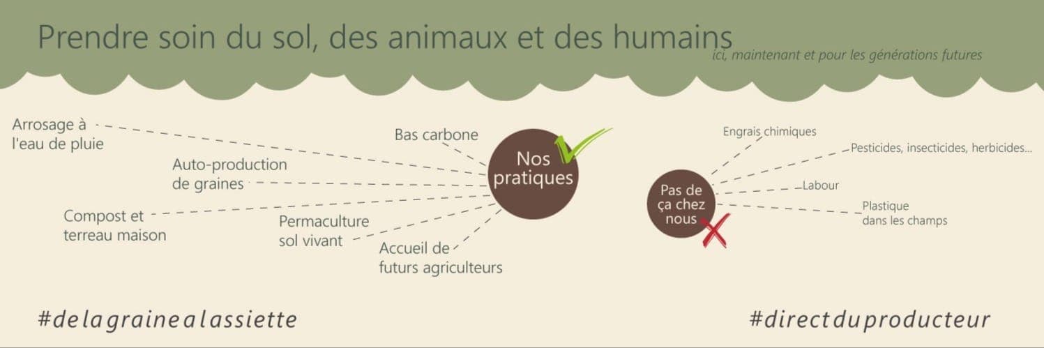 Bannière de Ferme NUSGO