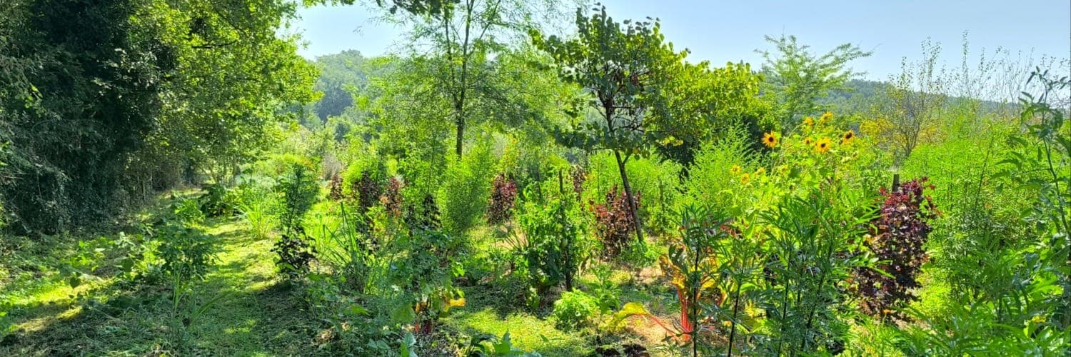 Bannière de Le Jardin des Shamans