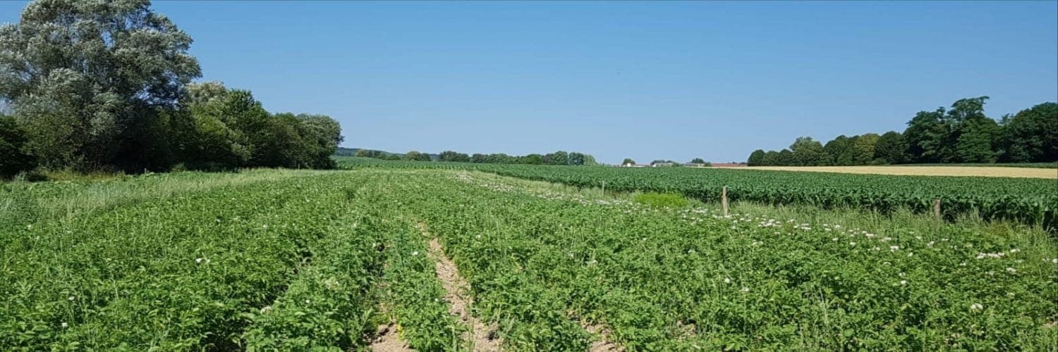 Bannière de La Cagette Fraîche