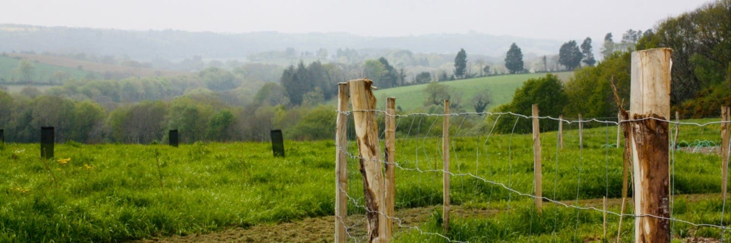 Bannière de Verger de l'Arbor Et Sens