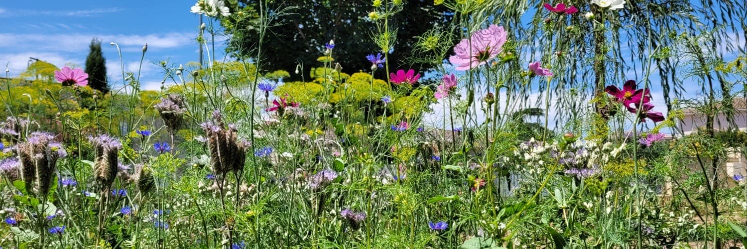 Bannière de Le Goût des Fleurs