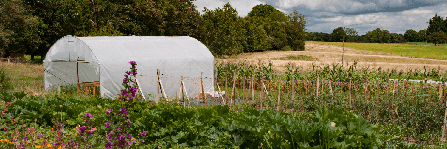 Bannière de GAEC La Ferme de la Pensée Sauvage