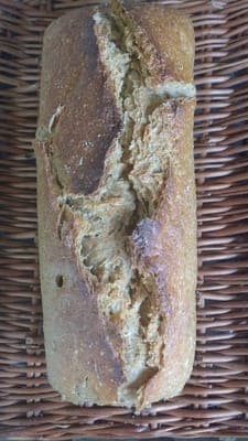 Pain petit épeautre