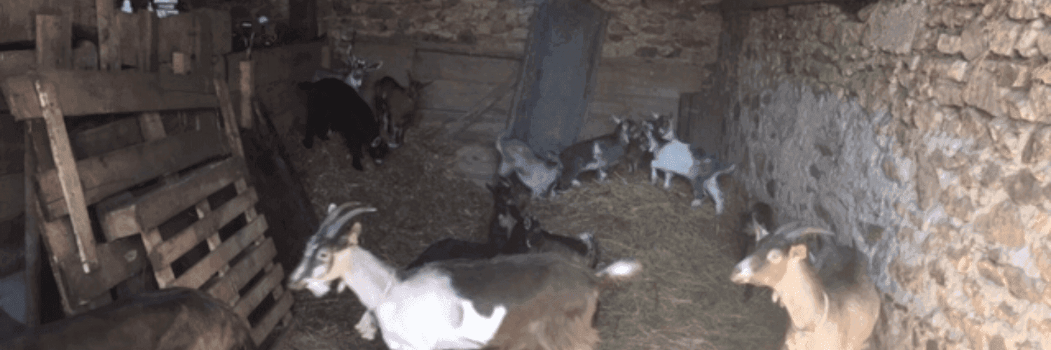 Bannière de ferme chez babiau
