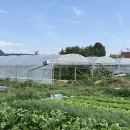 Ferme CHAMP LIBRE Ferme CHAMP LIBRE #3