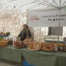 Logo de Conseil départemental loches