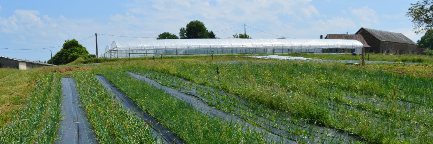 Bannière de La ferme des petites bottes